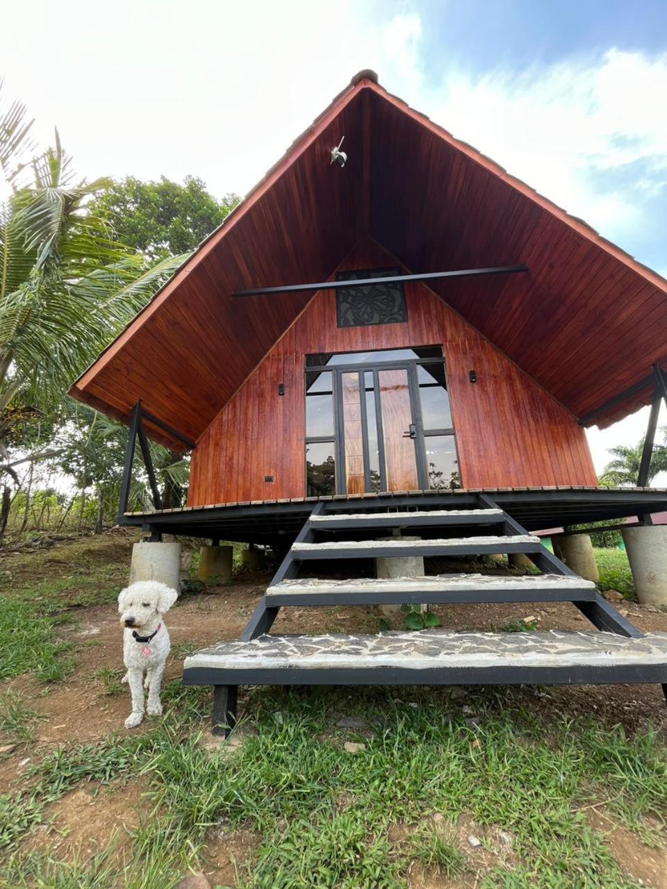 Myra Chalets Bijagua Exterior foto