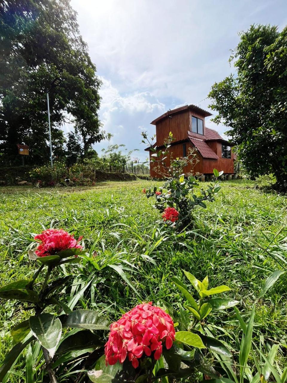 Myra Chalets Bijagua Exterior foto